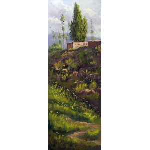 Tahir Bilal Ummi, 12 x 36 Inch, Oil on Canvas, Landscape Painting, AC-TBL-015